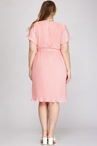 Priscilla Pink Dress- Plus Size