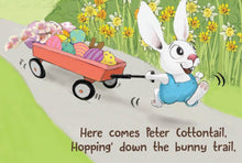 Load image into Gallery viewer, Peter Cottontail&#39;s Hoppy Easter board book
