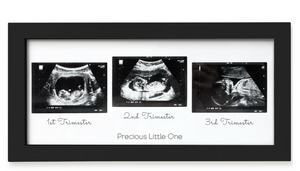 Three Trimester Frame